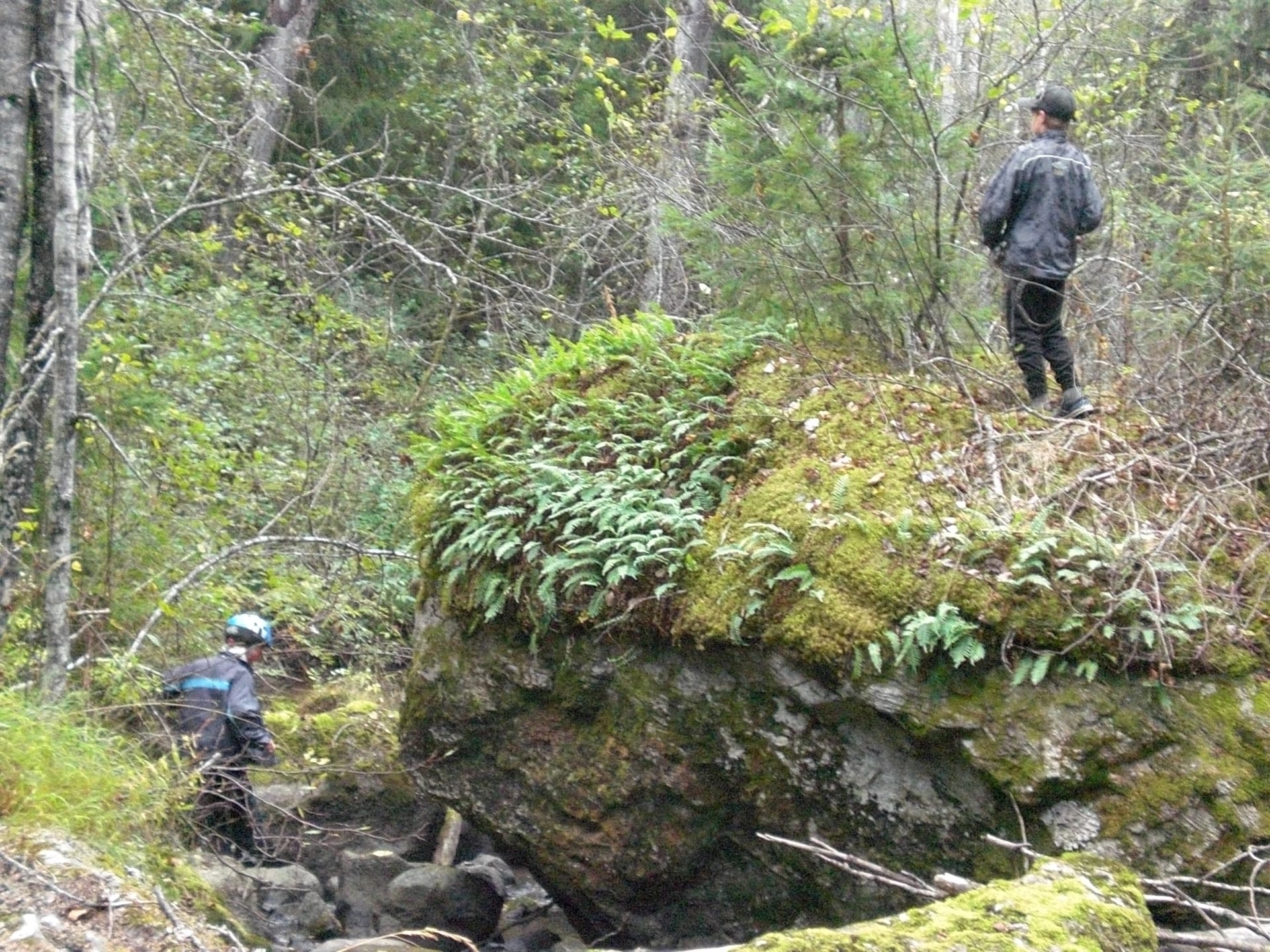 A boy standing on a rock in the forest, a man next to the rock