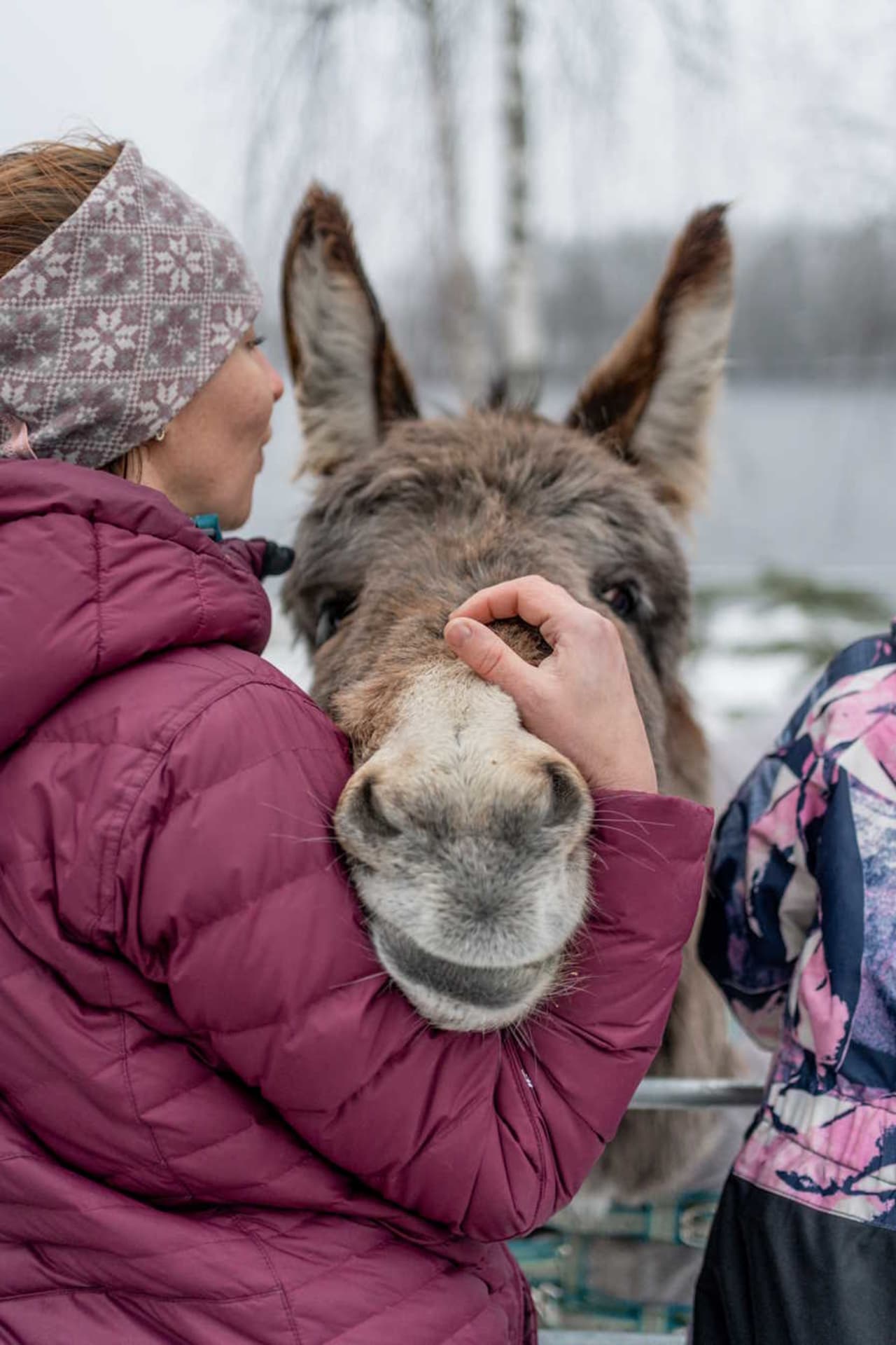 nainen ja aasi halaavat