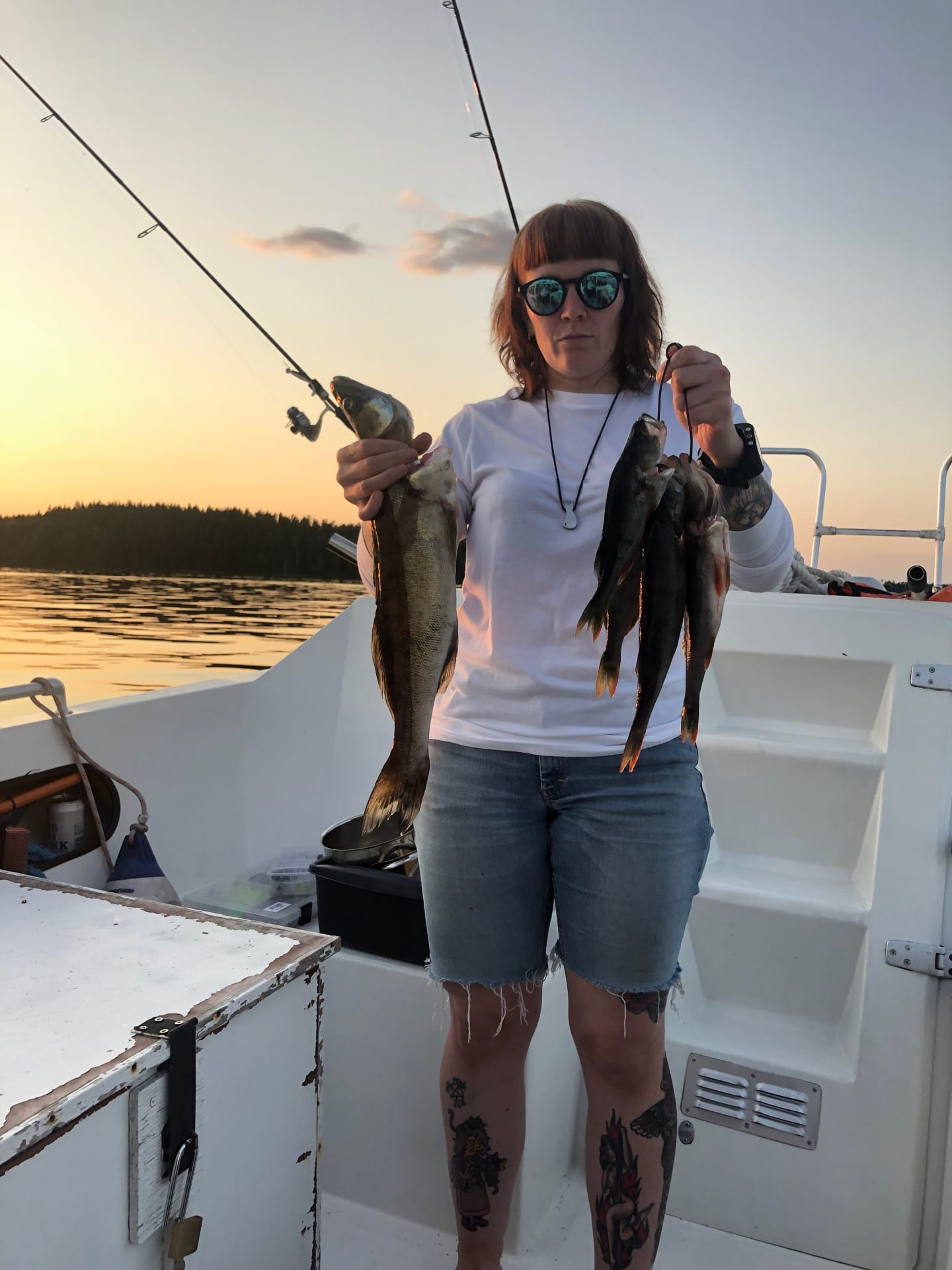 Perches and zander catched from lake Saimaa