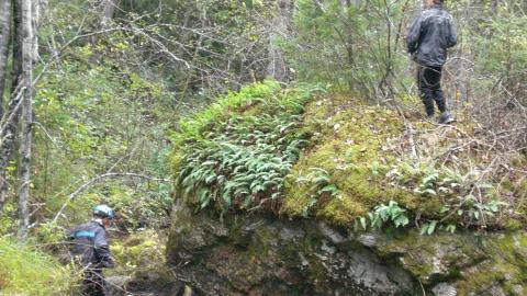 A boy standing on a rock in the forest, a man next to the rock