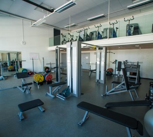 Kuva jäähallin kuntosalista