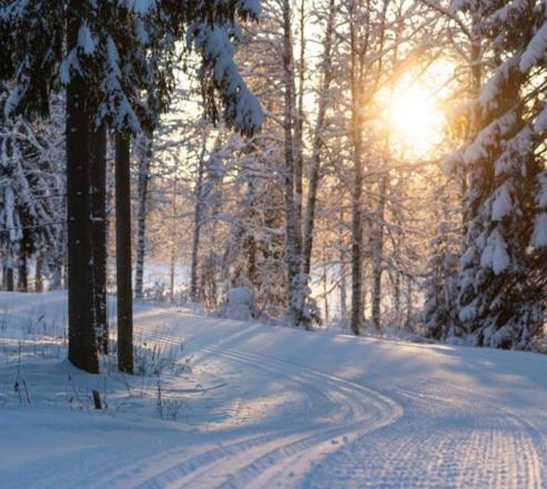 Kuvassa Ukonniemen hiihtolatua kevätauringossa