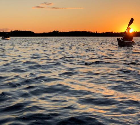 Meloja Saimaalla ilta-auringossa
