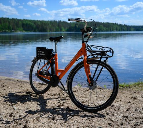 Oranssi lähikuvassa taustalla sinisenä kimmeltävä vesi