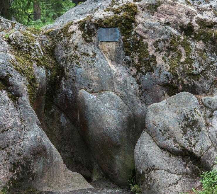 Jättihiidenkirnu Imatran Kruununpuistossa