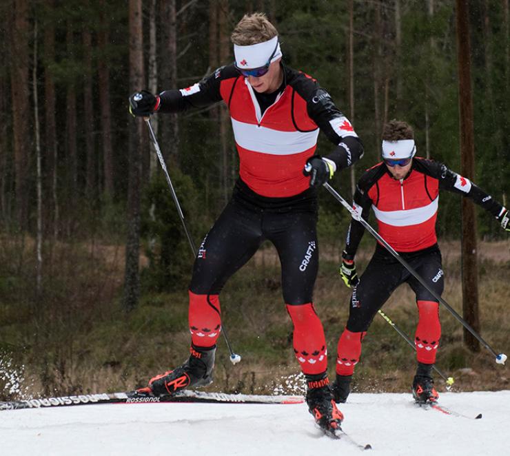 Kaksi kanadalaista hiihtäjää hiihtämässä Ukonniemen ensilumenladulla Imatralla